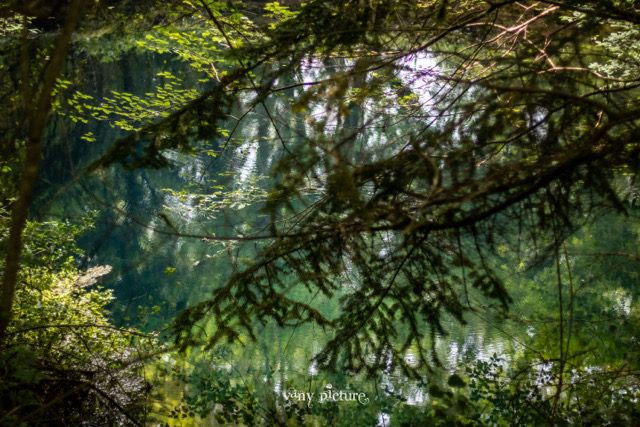 Sur le PR6, La Gourgue, Saint Antonin Noble Val