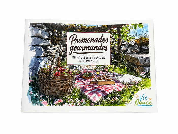 Livre de recettes promenades gourmandes dans les Causses et Gorges de l'Aveyron