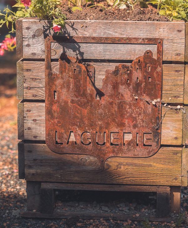 laguépie-vincentphotographie-fleurs laguépie-vincentphotographie-fleurs